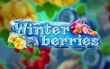 Сыграть в игровой автомат Winterberries онлайн без скачивания легко
